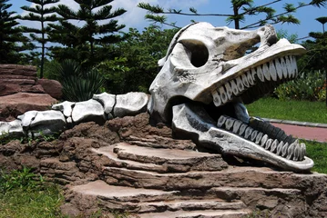 Foto op Canvas Макет черепа динозавра в парке © Ольга Васильева