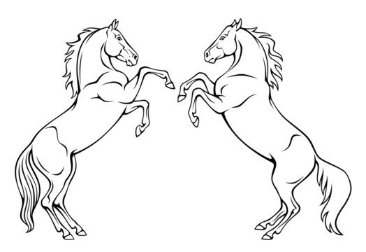 Horse Coloring Pages 34 Total Images Running Jumping - Etsy
