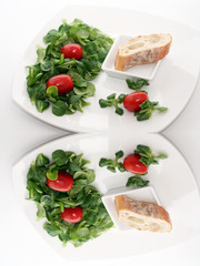 Feldsalat