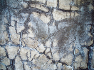 Wall plastered wet cement texture
