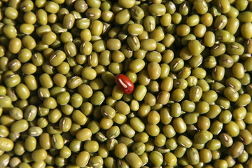 beans