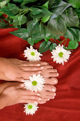 Hand and feet care