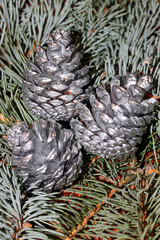 Three silver pine cone