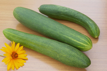 Appetizing green cucumber