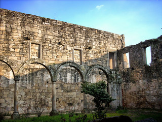 Ruins of Salzedas Monastery