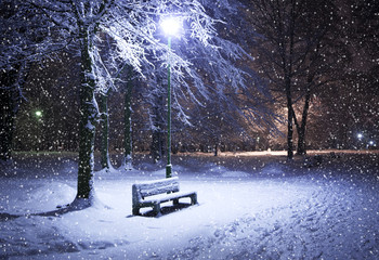 Winter park at night - 27763551