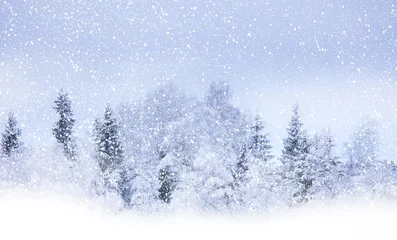 Foto auf Acrylglas Winter Schneit