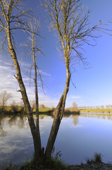 Autumn day on the lake