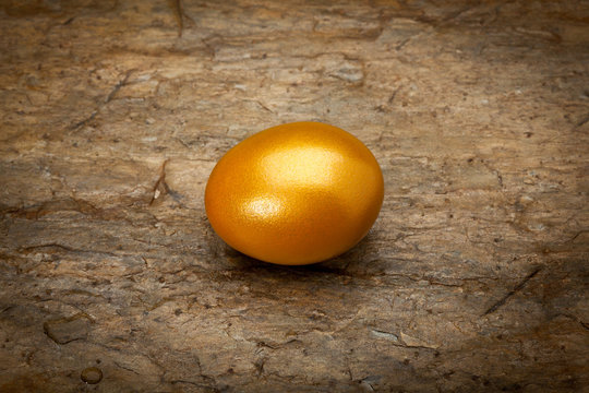 goldenes ei auf naturstein