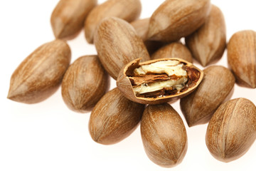 Pecan isolated on white