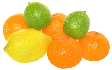 Orange, tangerine, lime and lemon.