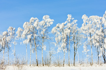 winter landscape, Czech Republic