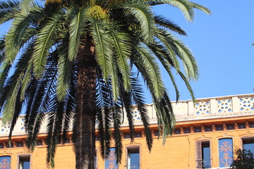 Fototapeta premium Palma de Mallorca - Balearic Islands