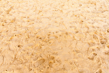 footmark on sand