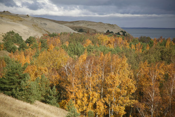 Autumn