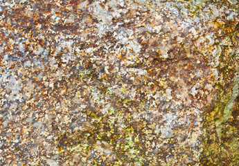 surface rock