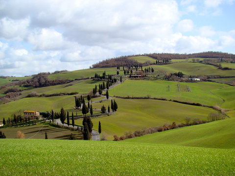 Strasse in der Toskana