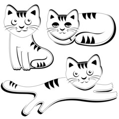 cats