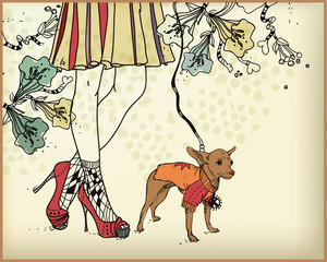 vector background with  a little dog ,female legs and flowers