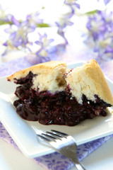 Blueberry Cobbler