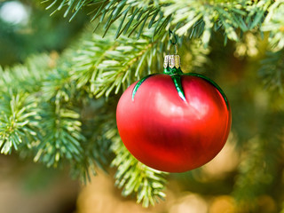 Christmas Tree Tomato Ornament Hanging