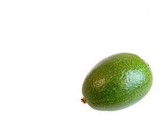 Avocado