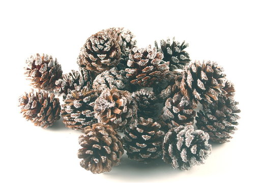 sparkly pine cones