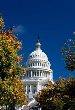 U.S. Capital Building Dome, Washington DC, Autumn Yellow Leaves