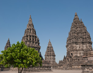 Fototapeta premium Prambanan temple, Java, Indonesia