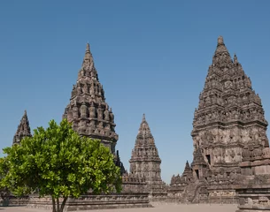 Foto op Plexiglas Prambanan temple, Java, Indonesia © javarman