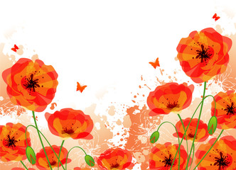 Fototapeta premium Red poppies back