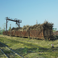 wagons full of sugar cane, sugar railway, Niquero, Cuba