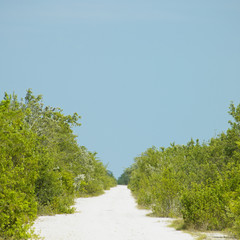 path, Cayo Sabinal, Camaguey Province, Cuba