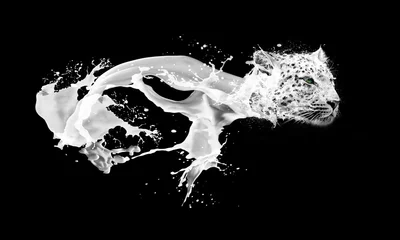 Gardinen Abstract image of milk splashing drops in leopards form © Andrii IURLOV