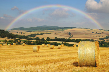 Regenbogen über Getreidefeld bei der Ernte