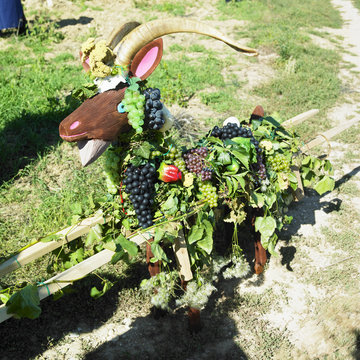 Grape Goat (tradition Festival), Znojmo Region, Czech Republic