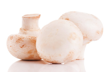 Champignons