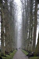 Personen spazieren im Morgennebel auf dem herbstlichen Friedhof