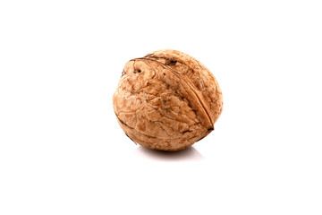 Dried walnuts on a white background