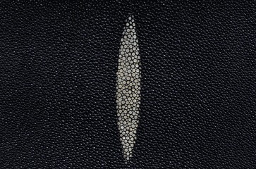 Scat leather texture © Ольга Васильева
