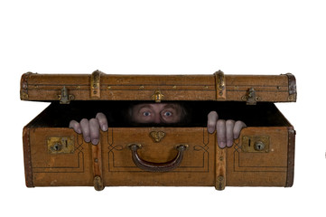 Verdeckter Ermittler