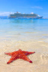 une étoile de mer et un bateau de croisière