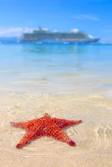 Crédence de cuisine en verre imprimé Caraïbes une étoile de mer et un bateau de croisière