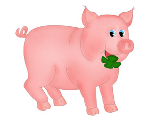 Pig  with clover