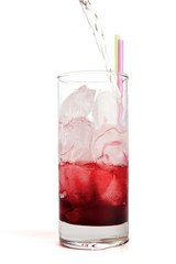 Fruit spritzer