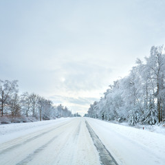 Obraz premium winter country road