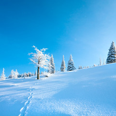 Snowy landscape