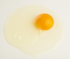 egg yolk