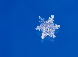 Snowflake on glass