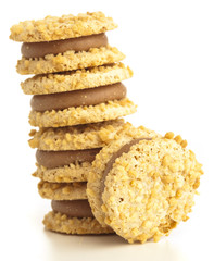 creamy biscuit